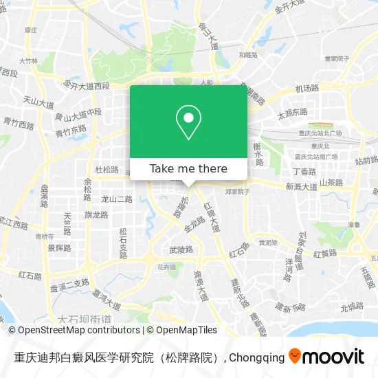 重庆迪邦白癜风医学研究院（松牌路院） map