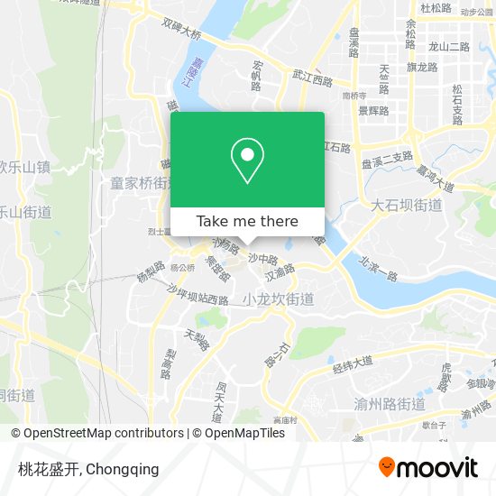 桃花盛开 map