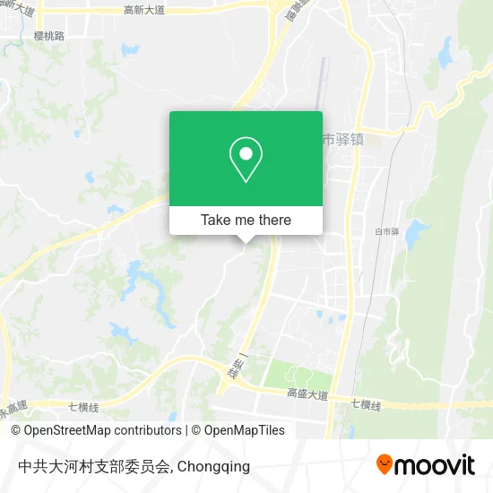 中共大河村支部委员会 map