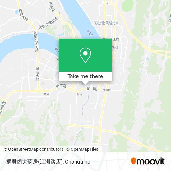 桐君阁大药房(江洲路店) map