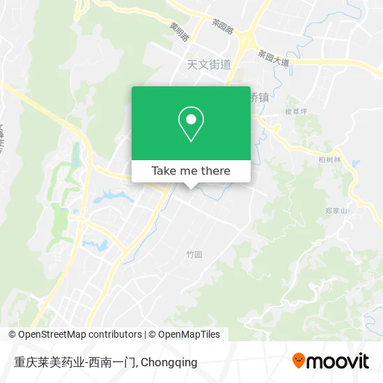 重庆莱美药业-西南一门 map