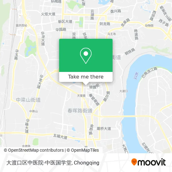 大渡口区中医院-中医国学堂 map