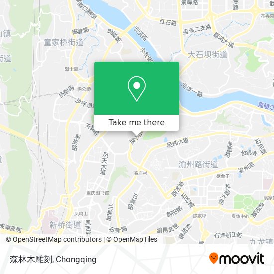 森林木雕刻 map