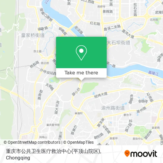 重庆市公共卫生医疗救治中心(平顶山院区) map