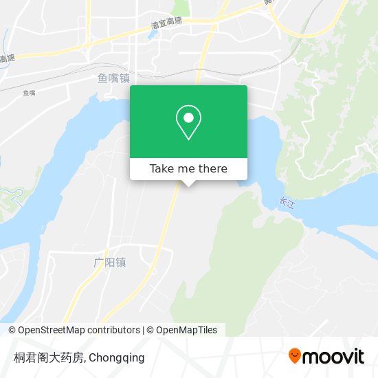 桐君阁大药房 map