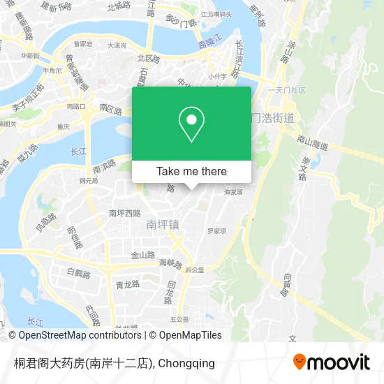 桐君阁大药房(南岸十二店) map