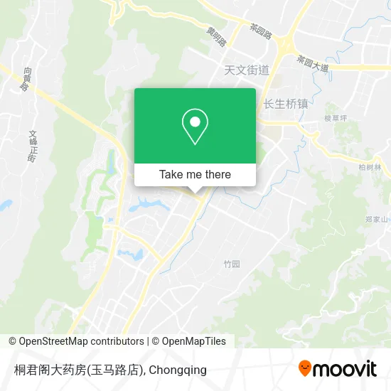 桐君阁大药房(玉马路店) map