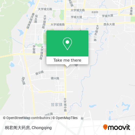 桐君阁大药房 map
