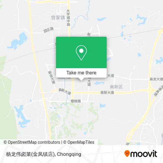 杨龙伟卤菜(金凤镇店) map