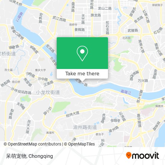 呆萌宠物 map