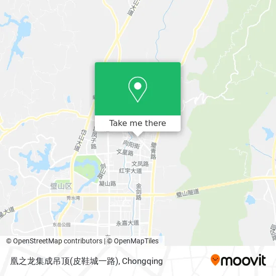 凰之龙集成吊顶(皮鞋城一路) map