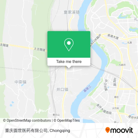重庆圆世医药有限公司 map