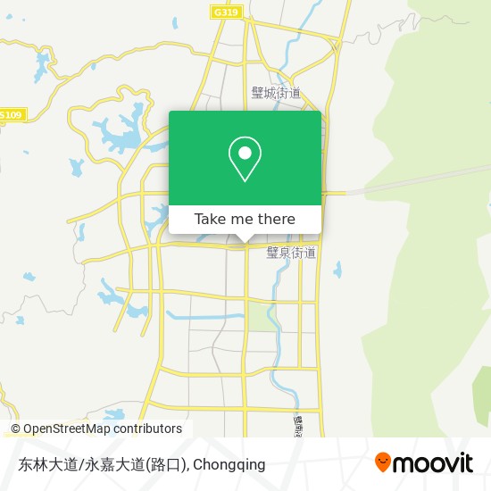 东林大道/永嘉大道(路口) map