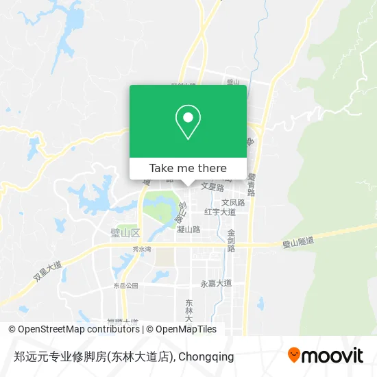 郑远元专业修脚房(东林大道店) map