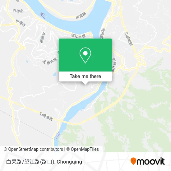 白果路/望江路(路口) map