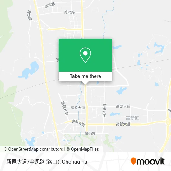 新凤大道/金凤路(路口) map