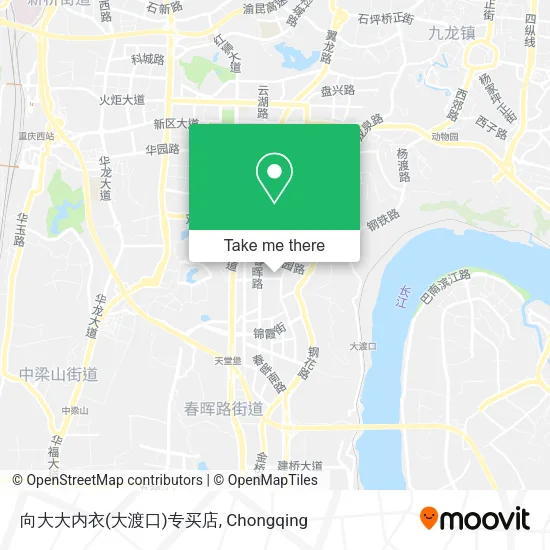 向大大内衣(大渡口)专买店 map