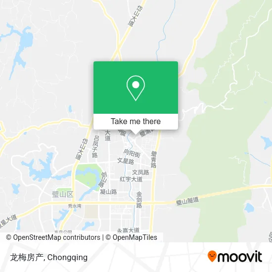 龙梅房产 map