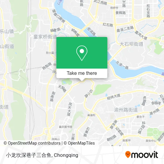 小龙坎深巷子三合鱼 map
