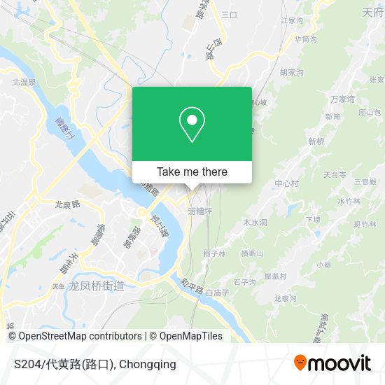 S204/代黄路(路口) map