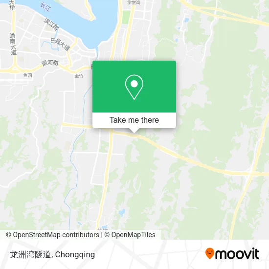 龙洲湾隧道 map