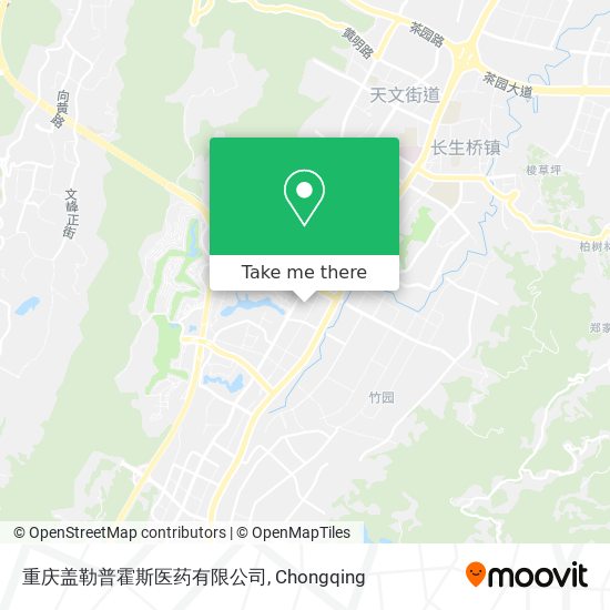 重庆盖勒普霍斯医药有限公司 map