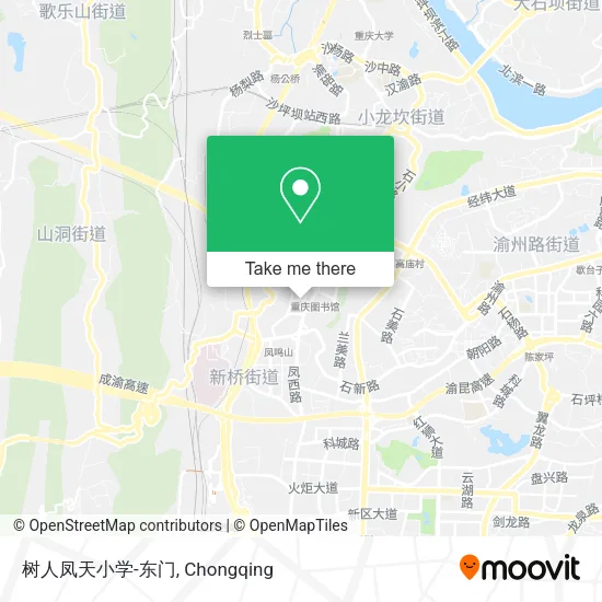 树人凤天小学-东门 map