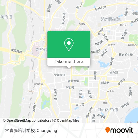 常青藤培训学校 map