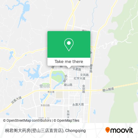 桐君阁大药房(壁山三店直营店) map