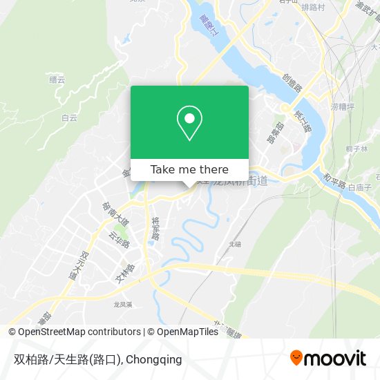 双柏路/天生路(路口) map