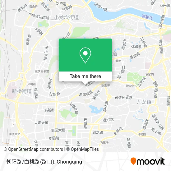 朝阳路/白桃路(路口) map