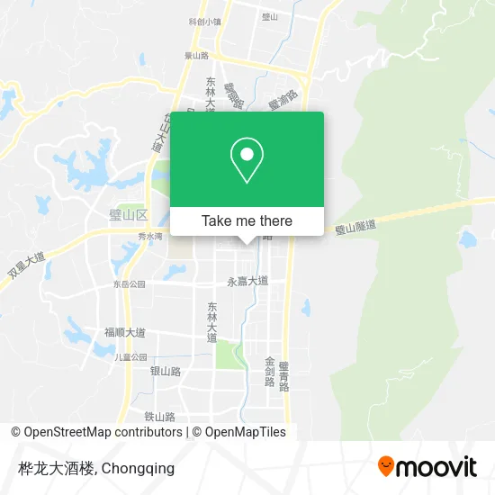 桦龙大酒楼 map