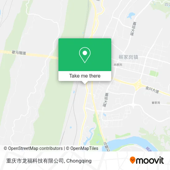 重庆市龙福科技有限公司 map