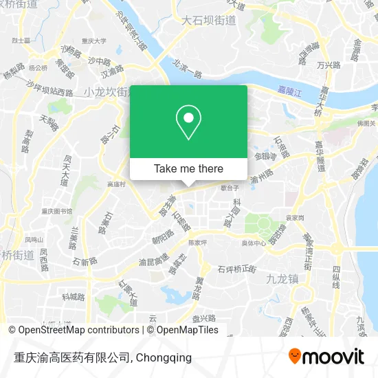重庆渝高医药有限公司 map