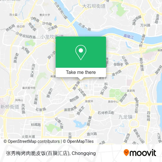 张秀梅烤肉脆皮饭(百脑汇店) map