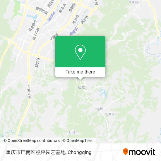 重庆市巴南区樵坪园艺基地 map