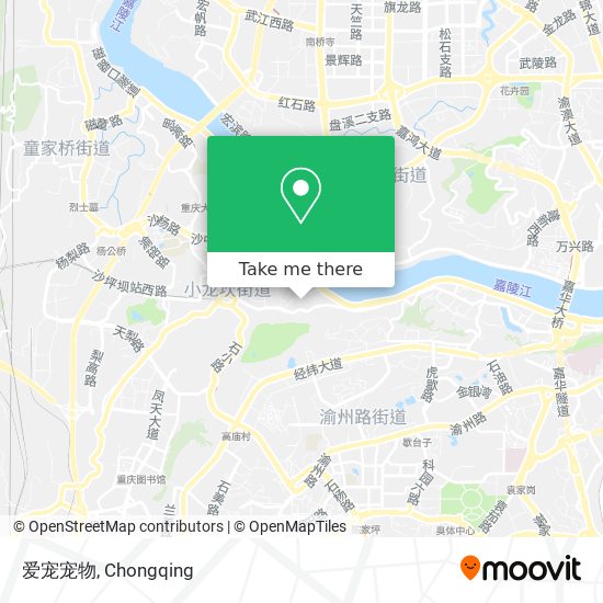 爱宠宠物 map