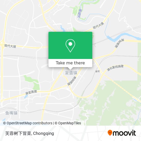 芙蓉树下冒菜 map