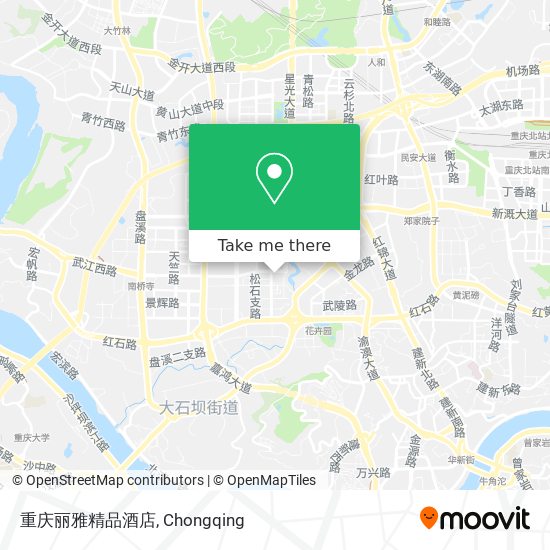 重庆丽雅精品酒店 map