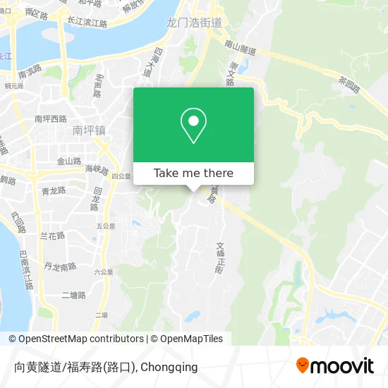 向黄隧道/福寿路(路口) map