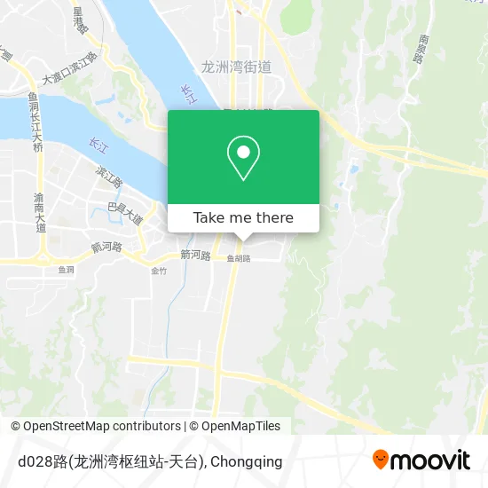 d028路(龙洲湾枢纽站-天台) map