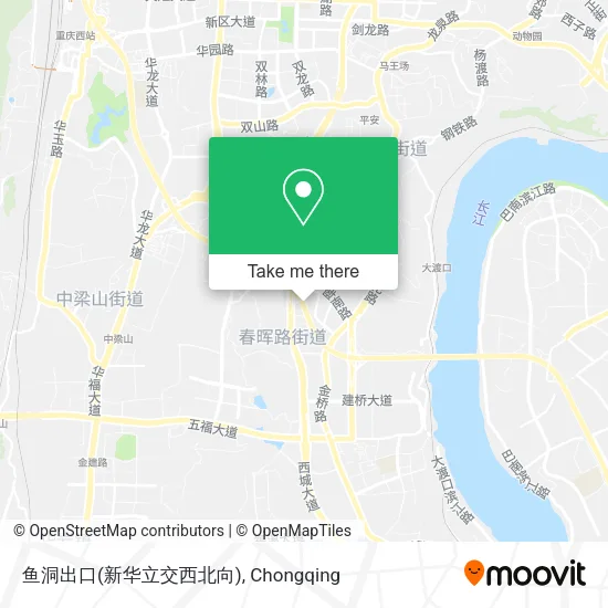 鱼洞出口(新华立交西北向) map