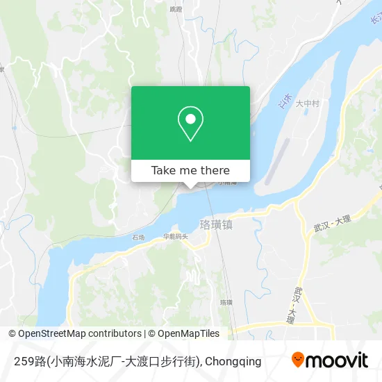 259路(小南海水泥厂-大渡口步行街) map