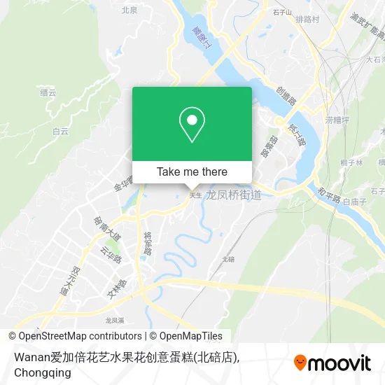 Wanan爱加倍花艺水果花创意蛋糕(北碚店) map