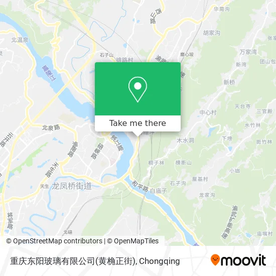 重庆东阳玻璃有限公司(黄桷正街) map