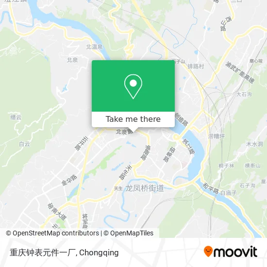重庆钟表元件一厂 map