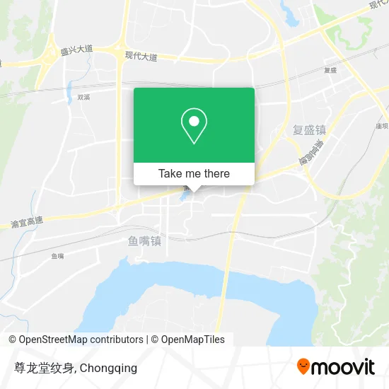 尊龙堂纹身 map