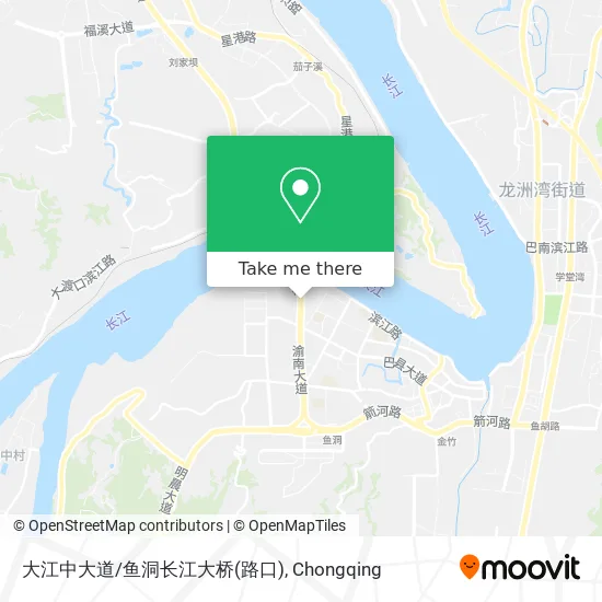 大江中大道/鱼洞长江大桥(路口) map