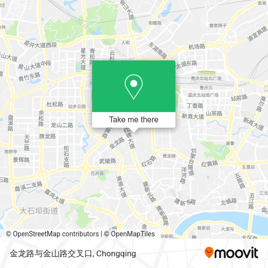金龙路与金山路交叉口 map