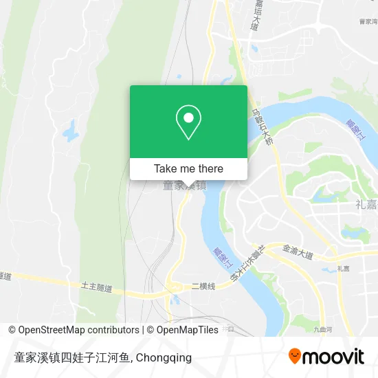 童家溪镇四娃子江河鱼 map